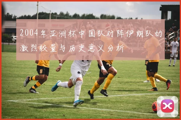 2004年亚洲杯中国队对阵伊朗队的激烈较量与历史意义分析